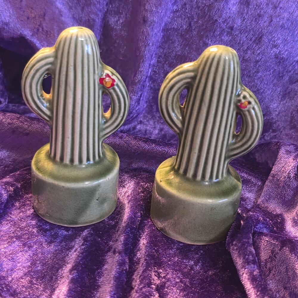 Cactus Salt & Pepper Shakers 3 3/4 cottagecore southwest decor